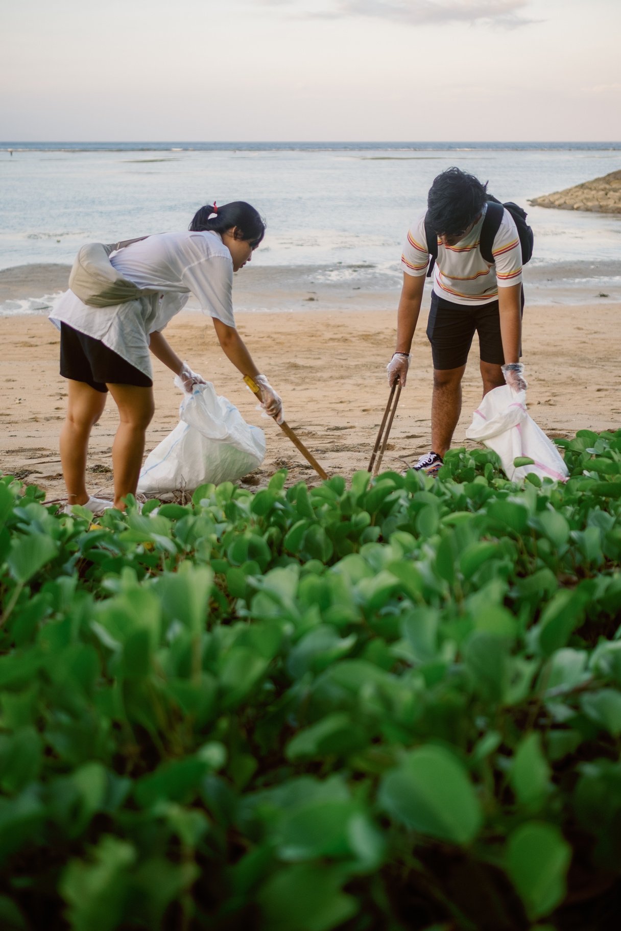 People Cleaning the Trash in Shoreline