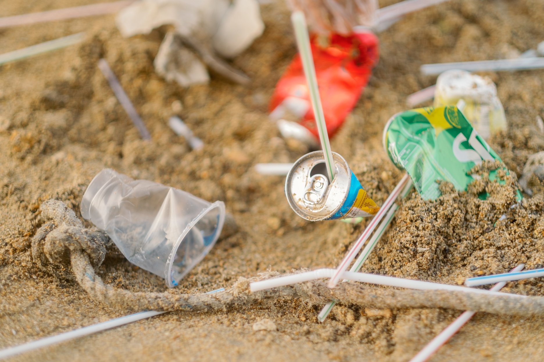 Trash Scattered on the Shore